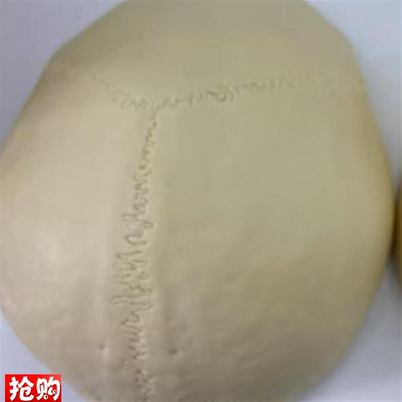 颐诺ENOVgO仿真头盖骨模型树脂材质人体等比大小