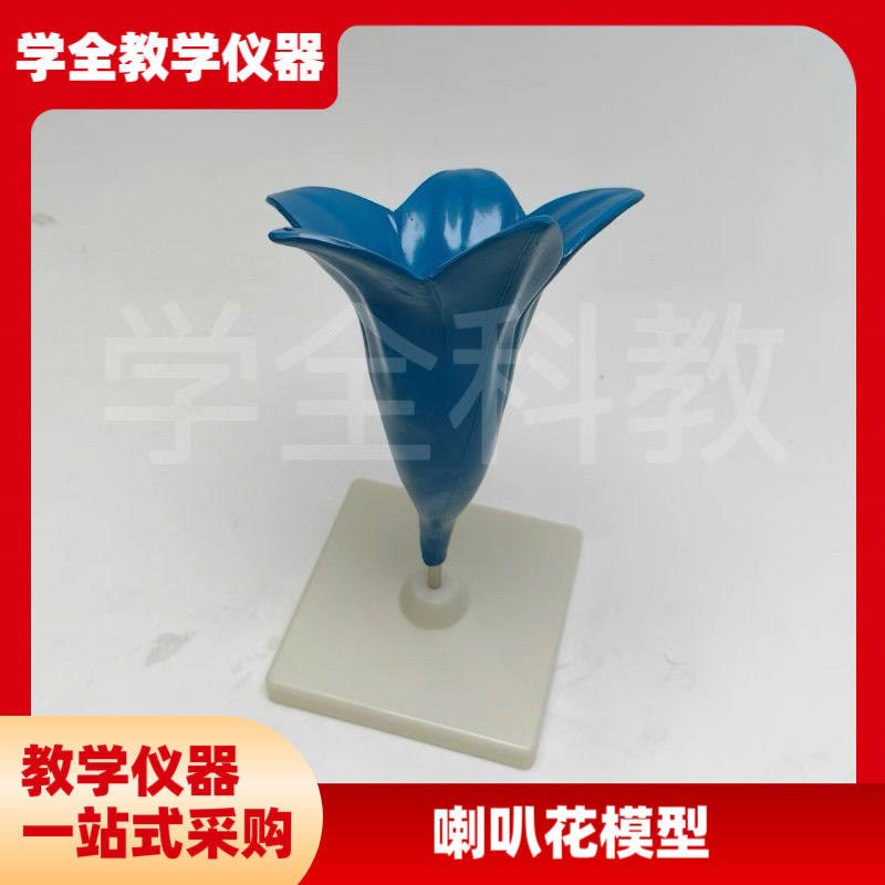 喇叭花放大模型初高中生物课堂教E学科教仪器喇叭花放大解剖模型