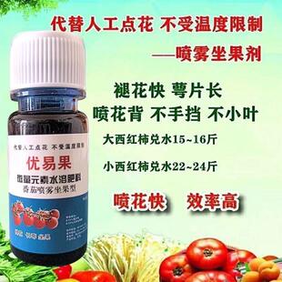 及时雨安易果升级优易果西红柿圣女果授粉喷花点花坐座果番茄美灵