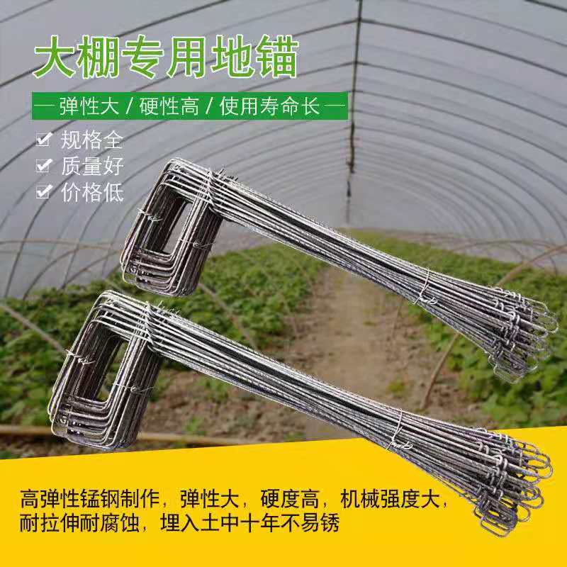 温室大棚专用热镀锌钢丝地锚