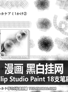 A1 444 CSP笔刷  漫画效果 黑白挂网 18支 CLIP STUDIO PAINT