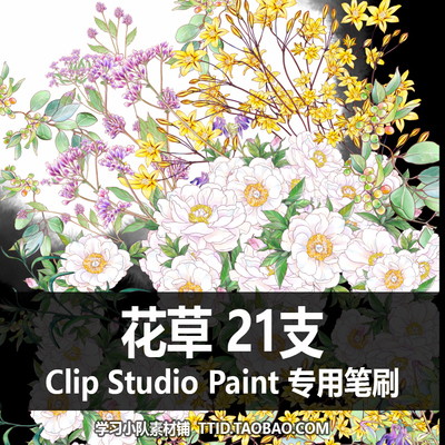 A1 156 CSP笔刷 花草 21支 CLIP STUDIO PAINT