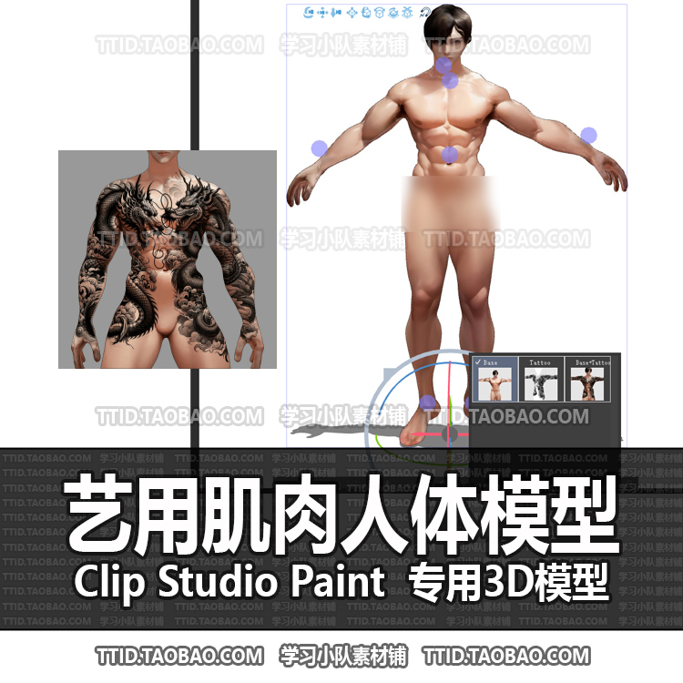 B2 540 CSP模型 艺用肌肉人体模型2.0版 优动漫模型CLIP STUDIO