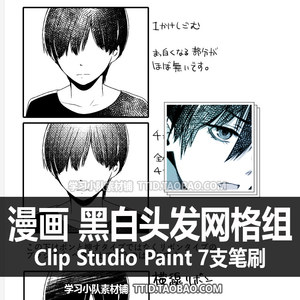 A1 442 CSP笔刷漫画效果黑白头发网格组 7支 CLIP STUDIO PAINT