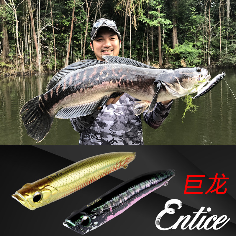 新款BONE骨头巨龙浮水铅笔之字狗波爬轰炸机远投路亚饵翘嘴海鲈,户外/登山/野营/旅行用品,路亚饵,淘宝优惠券,粉丝福利购,淘宝优惠卷