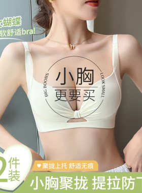 收副乳内衣女小胸聚拢显大无痕提拉上托防下垂2024新款爆款文胸罩