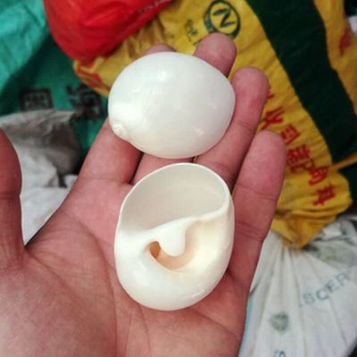 天然海螺 白猫眼螺 寄居蟹替换壳 三湖虎鱼躲避 鱼缸造景装饰品