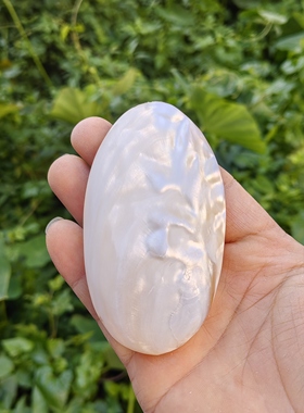 天然淡水珍珠贝 刮痧贝壳板儿童生日创意礼物鱼缸造景摆件