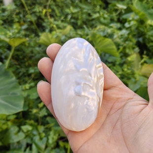 天然淡水珍珠贝 刮痧贝壳板儿童生日创意礼物鱼缸造景摆件