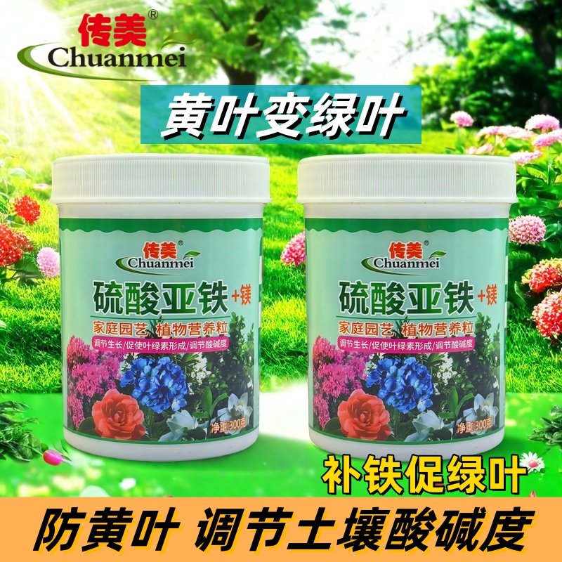 传美硫酸亚铁花肥料养花土壤改良土壤调酸杜鹃栀子花通用型水溶肥,鲜花速递/花卉仿真/绿植园艺,家庭园艺肥料,淘宝优惠券,粉丝福利购,淘宝优惠卷