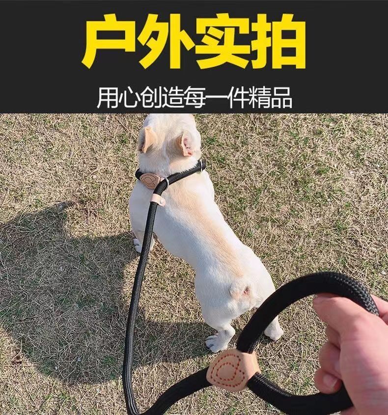 防爆冲狗狗外出P链牵引绳