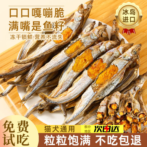 多春鱼冻干猫零食小鱼干猫咪零食