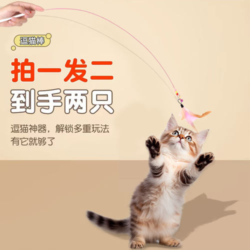 钢丝长杆逗猫棒拍1发2
