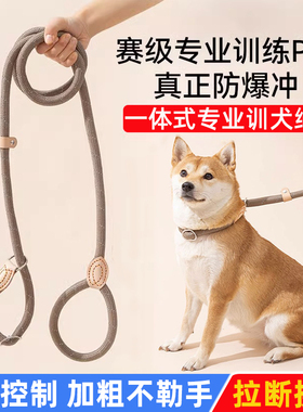 狗狗绳子防爆冲P链遛狗牵引绳防挣脱狗链子中大型犬防爆冲拴狗绳