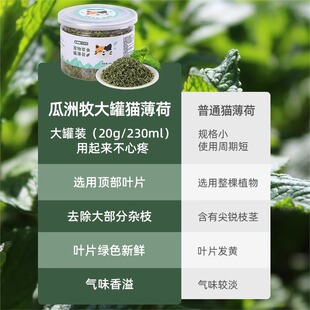 瓜洲牧薄荷球猫咪零食粉状去毛球饼干天然可食用猫草罐装成猫幼猫