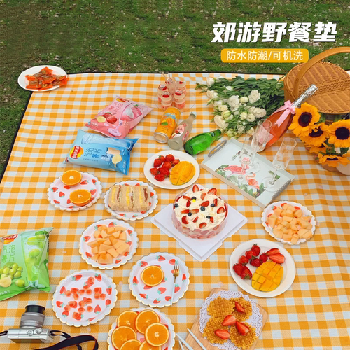 瓜州牧野餐垫防潮垫加厚户外露营地垫野外防水布便携帐篷草坪垫子