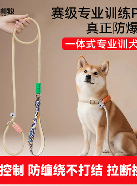 狗狗绳子防爆冲P链遛狗牵引绳防挣脱狗链子柯基中大型犬拴狗绳p绳