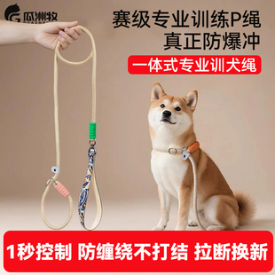 狗狗绳子防爆冲P链遛狗牵引绳防挣脱狗链子柯基中大型犬拴狗绳p绳