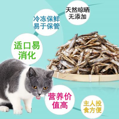 冻干猫零食小鱼干淡水补钙猫咪磨牙营养增肥宠物猫吃鱼专用零食