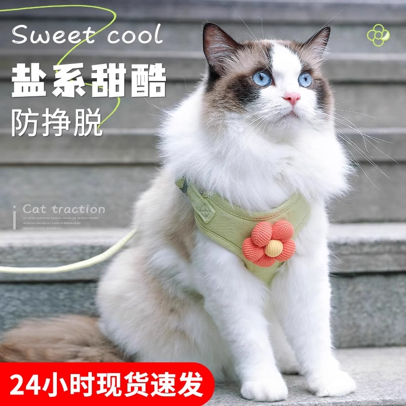 猫咪牵引绳宠物胸背带背心式防挣脱猫绳子遛猫绳溜猫链子外出专用