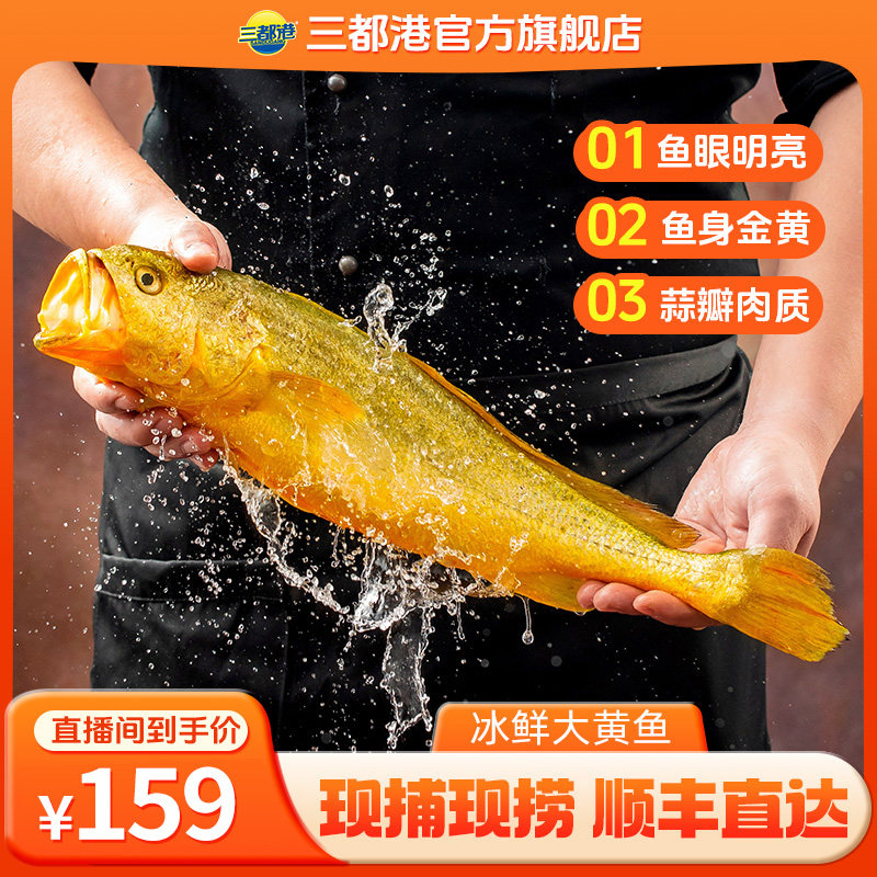三都港冰鲜黄花鱼400-450g*4图片
