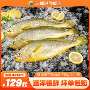 【自】三都港鲜冻黄花鱼300-750g多规格 宁德大黄鱼新鲜海鱼海鲜