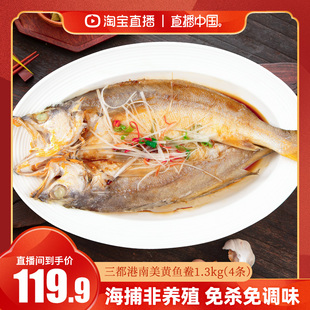 【直播中国】三都港南美黄鱼鲞1.3kg(4条) 远洋海捕