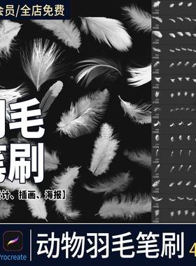 鸟类白色羽毛procreate笔刷后期羽毛飘落仙美特效插画 画ps笔刷素