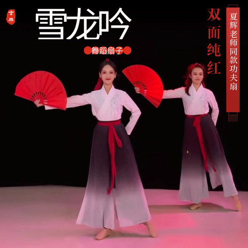 夏辉雪龙吟扇子太极功夫舞蹈扇子