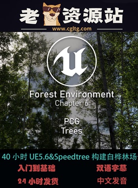 40小时UE5.6&Speedtree构建白桦林场景