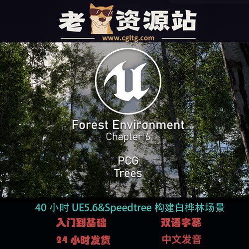 40小时UE5.6&Speedtree构建白桦林场景