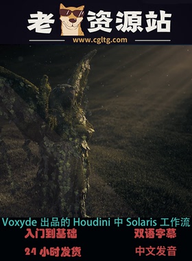 Voxyde出品的Houdini中Solaris工作流