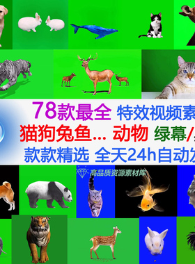 特效绿幕素材 动物猫狗兔鹿虎狮鲸鱼 黑幕免抠图视频prAE合成素材