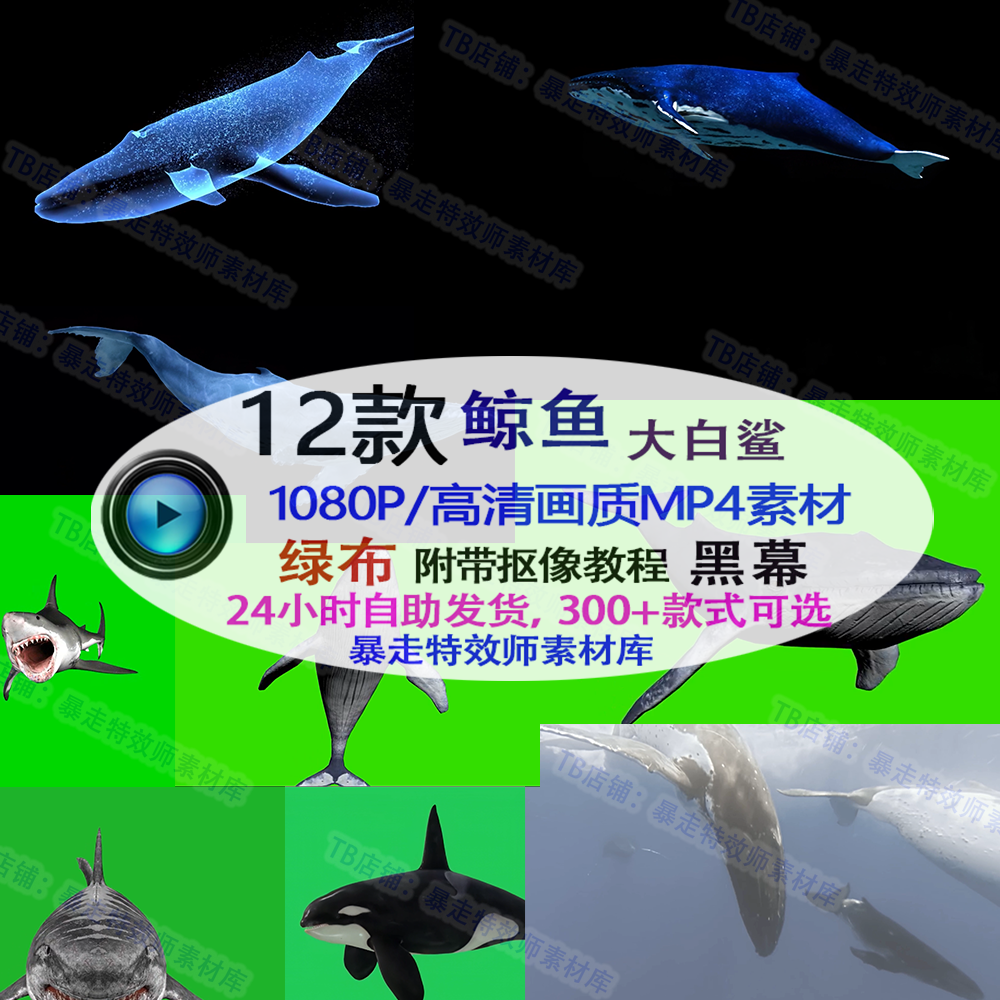 高清黑幕免抠像pr剪映ae视频素 鲸鱼大鲨鱼大鱼海棠特效绿幕素材