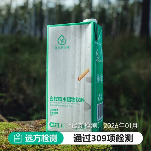 远方的梦想白桦树汁100%原汁