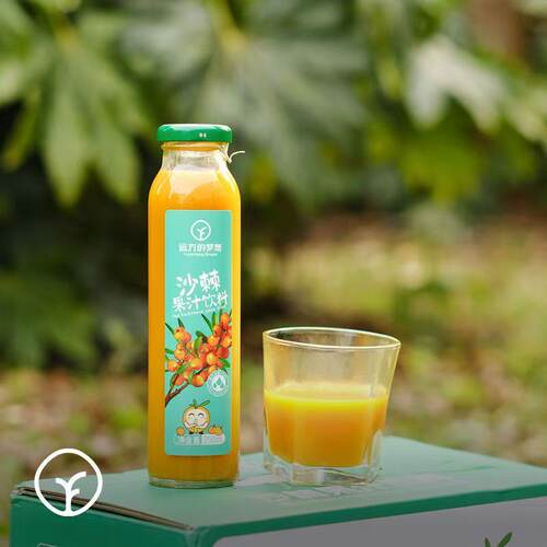 远方的梦想0添加沙棘果汁饮料