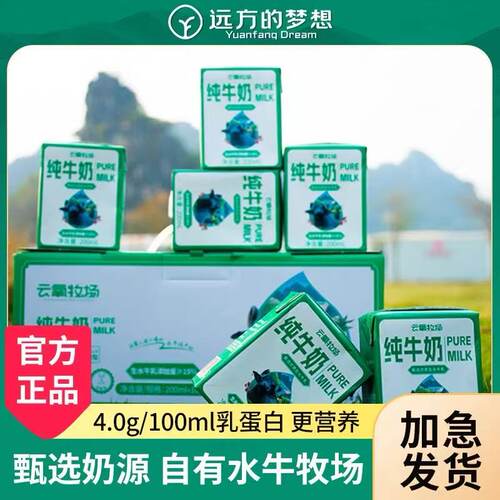 远方的水牛纯牛奶云氧牧场