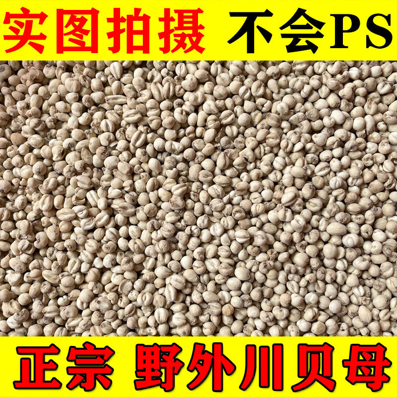 四川贝母中药材正品特级100g川贝母无硫小川贝粒非野生止松贝咳嗽