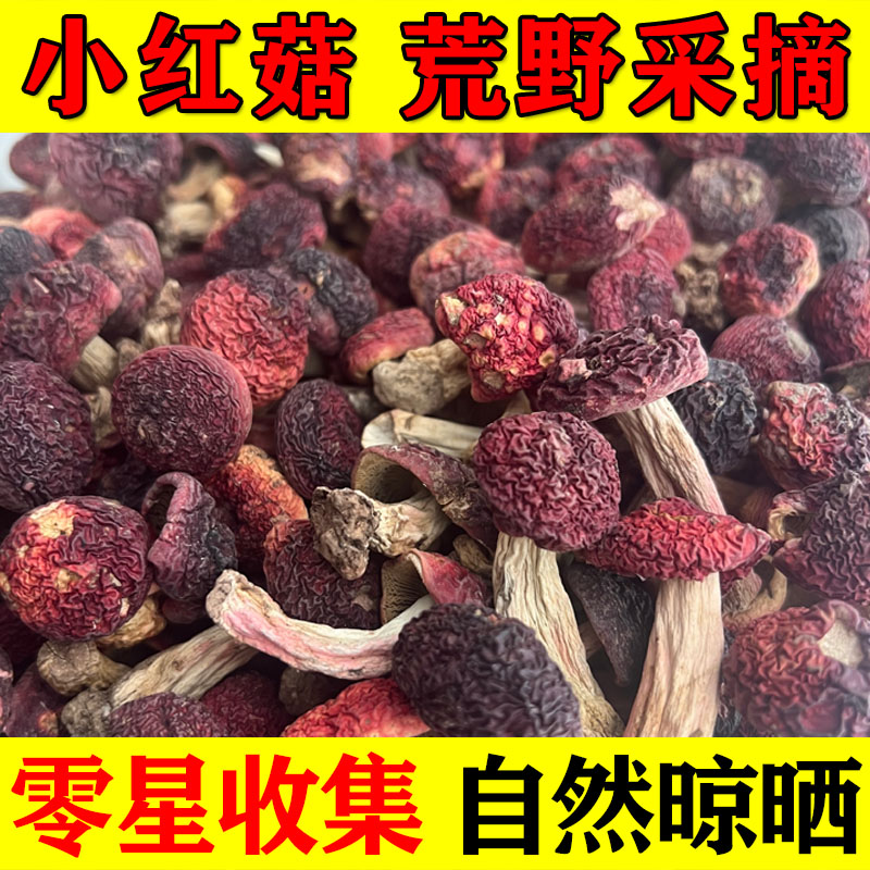 野生小红菇正宗福建武夷山纯天然野生菌菇红菇干货红姑新品月子菇