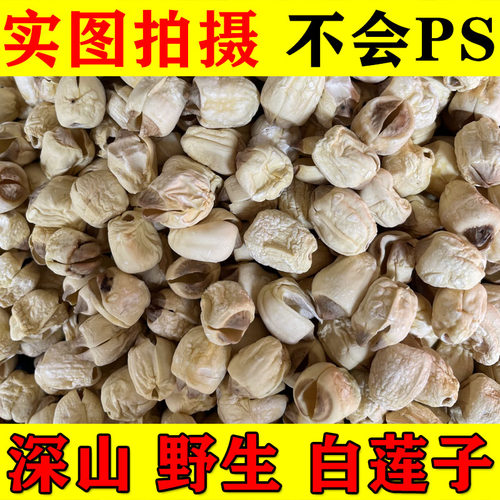 野生通心白莲500g福建深山池塘采