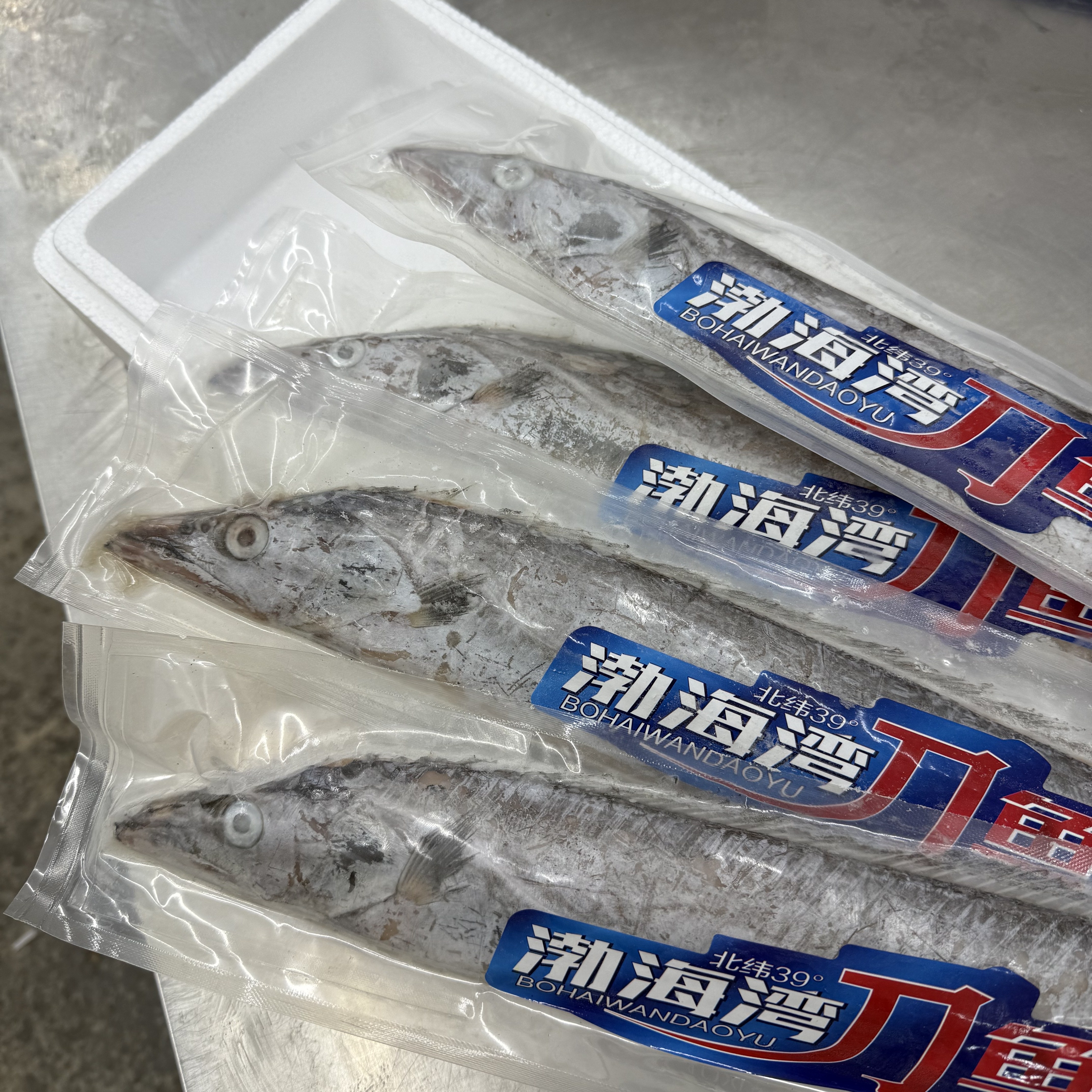 渤海湾带鱼当地新鲜的带鱼一箱4条装，一条8两-1斤