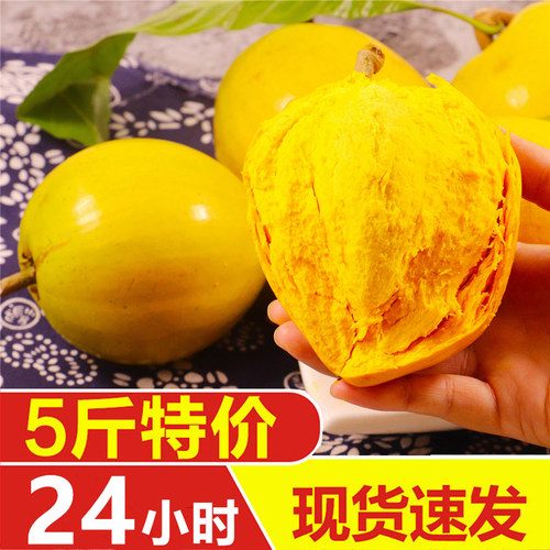 三只猴子蛋黄果鸡蛋果新鲜采摘