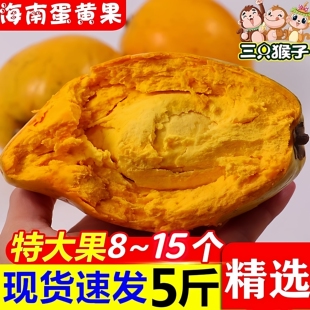 特大果海南蛋黄果新鲜鸡蛋果5斤包邮应当季孕妇水果一整箱批发价3