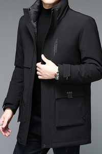 V1283钱塘2020-3冬季男士休闲连帽羽绒服白鸭绒保暖冬季P290图片