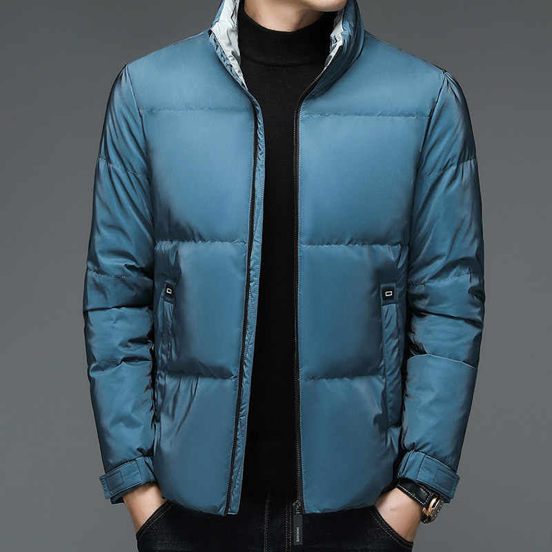 V1251钱塘2020-3冬季羽绒服90白鸭绒立领男士商务休闲外套P235图片