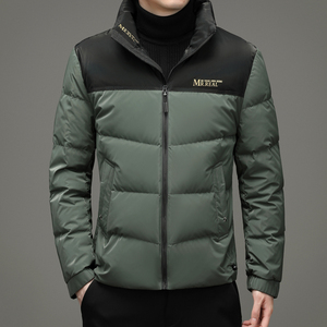 V1082钱塘2020-3冬季羽绒服鸭绒立领男士商务休闲外套P235图片