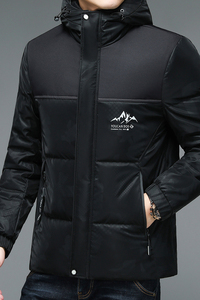 V1091钱塘2020-3冬季羽绒服90鸭绒连帽男士商务休闲外套P260图片