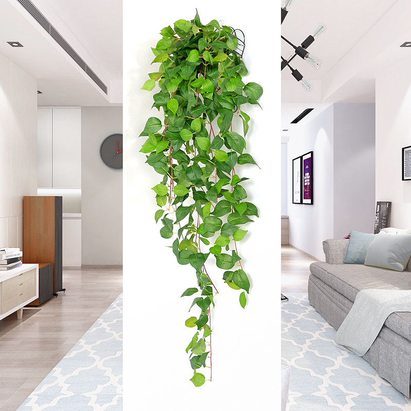 仿真绿叶壁挂绿萝吊篮墙面装饰吊兰室内客厅绢布绿植假花藤条壁挂