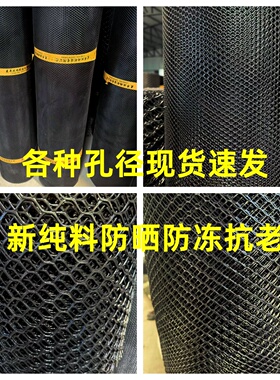 整卷黑色塑料平网养殖用网育雏养鸡鸭漏粪网养蜂网脚垫防护网胶网