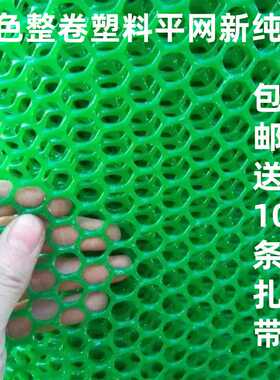 绿色整卷塑料平网育雏网床漏粪小鸡防逃隔离网鸡鸭鹅网养殖垫围